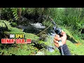 Lagu BEGINILAH SPOT MANCING TERBAIK YANG BIKIN GELENG² KEPALA