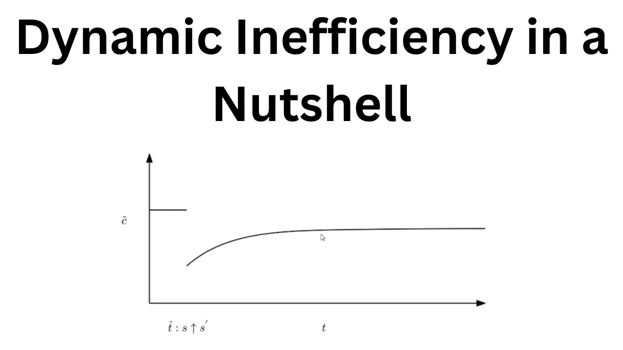 Dynamic Inefficiency in a Nutshell