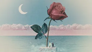 Tove Lo - des fleurs x stromae (Official Video)