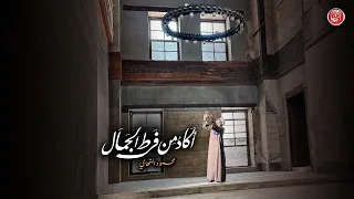                                                                                        دندنها