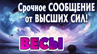 ВЕСЫ 🧚‍♂️🧚‍♂️🧚‍♂️СРОЧНОЕ СООБЩЕНИЕ от ВЫСШИХ СИЛ Таро Прогноз гадание онлайн