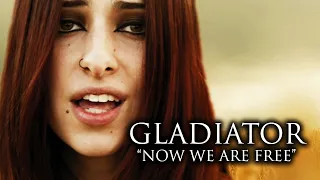 gladiator now we are free erhu u0026 vocal epic cover ft ang le macabi s