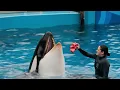 Download Lagu This video has gone viral on YouTube. Please note that it's a fake, not a real video.