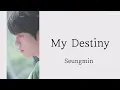 【歌詞・和訳・かなるび】My Destiny-Seungmin(Stray Kids)