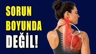 Boynunuz Ağrıyorsa Sadece Boyna Bakmayın