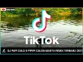 DJ PAPI CULO X PIPIPI CALON MANTU REMIX TERBARU 2021