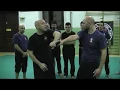 Download Lagu Baringin Sakti Pencak Silat - Parma, Italy Seminar