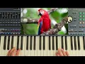 Download Lagu KorgStyle - Wild Nature  ( Relaxing Euro Disco \u0026 Danekoo1)Instrumental 2025