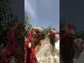 Download Lagu Trumpet montage Reborn Chickens Dancing Challenge 🤣🤣🤣