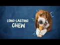 Purina Busy Real Beefhide Dog Chews PuppySimply