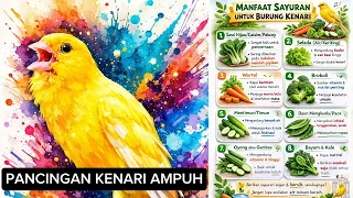 pancingan kenari ampuh bikin gacor 