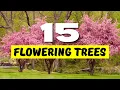 Download Lagu TOP 15 BESTE bloeiende bomen voor een PRACHTIGE tuin 😍 Laat je tuin stralen! ✨