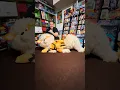 59 Inches Of Pure Arcanine Pokemon Center Plush