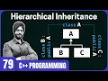 Hierarchical Inheritance in C