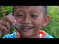 Download Lagu tak lelo ledung