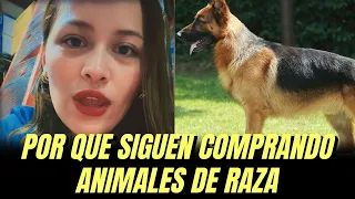 Ciudadana: ¿por que siguen comprando animales de raza en el Salvador?