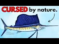Download Lagu Why It Sucks to Be Born as World’s Fastest Fish!
