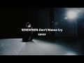 【TNT - Teens in Times】 SEVENTEEN 《Don’t wanna cry》COVER | by 刘耀文 Liu Yao Wen