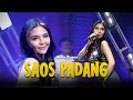 Download Lagu BELLA QUEEN - SAOS PADANG (OFFICIAL MUSIC LIVE) AKU MERINDU SETIAP WAKTU DISINI AKU MENUNGGU NUNGGU