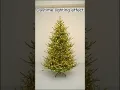 Pre-Lit Artificial Full Downswept Christmas Tree Douglas Fir Dual Color LED Lights 7 5FT