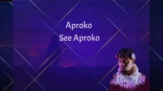 challex d boss aproko remix ft erigga lyrics video 