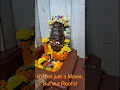 Download Lagu Who are your Daivas?तुमचे देव कोण आहेतKantaraIt's not just a Movie,But our Root's! #shorts #movie