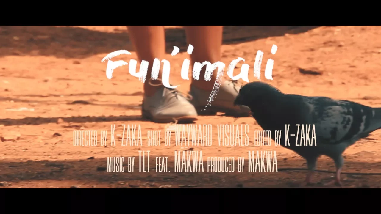 TLT - Fun'imali Feat.  Makwa(Music Video)