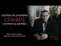 Download Lagu Kurtlar Vadisi Pusu | Öldüm De Uyandım Cümbüş ( Slowed \u0026 Reverb )