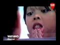 Wayang - Damai
