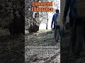 Unlock Your Endurance Potential The Health Benefits of Camping