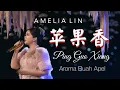 Download Lagu PING GUO XIANG 🍎  【苹果香 】AMELIA LIN （Lirik + Terjemahan)