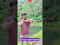 Download Lagu Biola Alat Musik Tersulit Di Dunia? | Ini Alasannya!