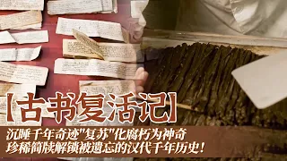 汉武帝之孙的"地下书库"有多牛？海昏侯刘贺墓惊现5000多枚竹木简牍！沉睡千年奇迹"复苏"化腐朽为神奇 珍稀简牍解锁被遗忘的汉代千年历史！——《古书复活记》合集 |  中华国宝