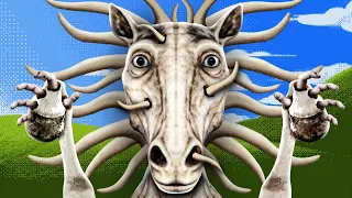 My Horse Is Sick