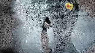 freshly ground nomvula after the rain english lyrics