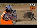 Download Lagu DANGEROUS GIANT BOARS: TOP 30 WILD BOAR SHOTS, MOST EXCITED HUNTING SCENES!