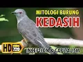 Download Lagu Burung KEDASIH: Simbol Kapitalisme Asing Yang Akan Mengusirmu Dari Rumahmu Sendiri