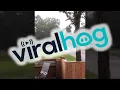 Incredibly Close Lightning Strike ViralHog
