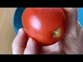 Organic Plum Roma Tomato