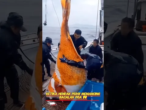 Inilah doa saat pergi memancing #doamustajab #saatmancingikan #shortvidio #faktaunik