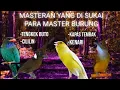 Download Lagu Full Masteran  -Tengkek Buto -Cililin -Kenari -Kapas Tembak suara jernih