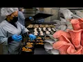 Growing Mushrooms in California A Visit to Four Mushroom Farms Cultivation Techniques