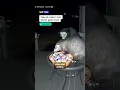 AI-dierenvideo's gaan viraal: hoe herken je ze?