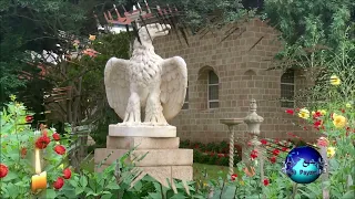 ای بلبل خوش الحان گلشن عشق دندنها