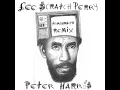 Nothing & Then Nothing (Trashmouth Remix) - Lee "Scratch" Perry, Peter Harris & Trashmouth Records