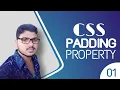CSS Advance Padding Property Tutorial ll CSS 01 ll