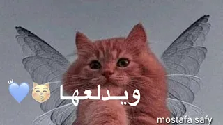 بسبوس عاشق بسة ويدلعها بسبوسة تصميمي 