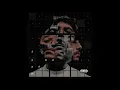 PANA RABBIT - Tito Double P