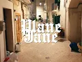 Download Lagu Rich Kalashh - Plane Jane(Official Video)