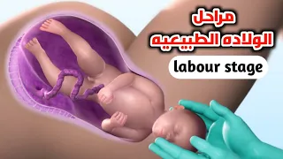 شاهد مراحل الولاده الطبيعية خطوه بخطوه                                 دندنها